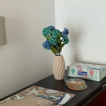 Apartment Sofia Mangalia *